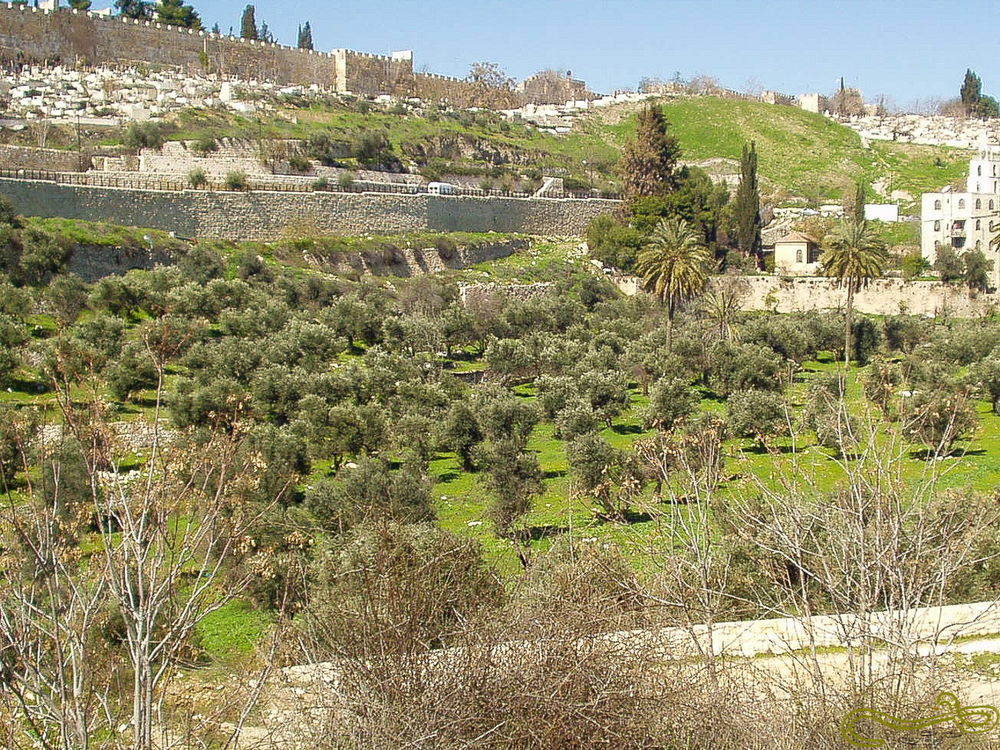 Getsemanská záhrada pod Olivovou Horou